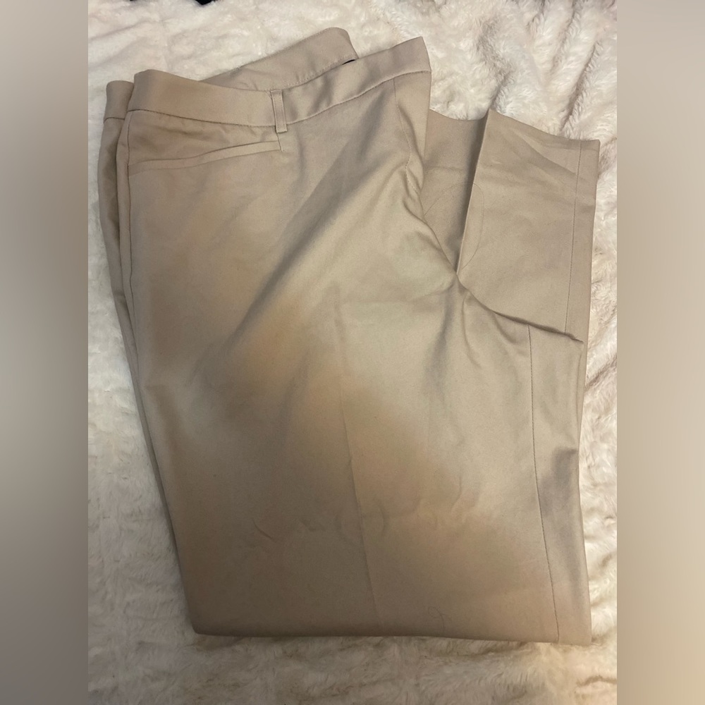 Lane Bryant plus size trousers